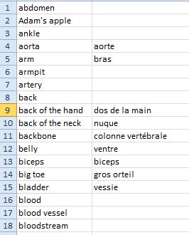 Contenu liste vocabulaire